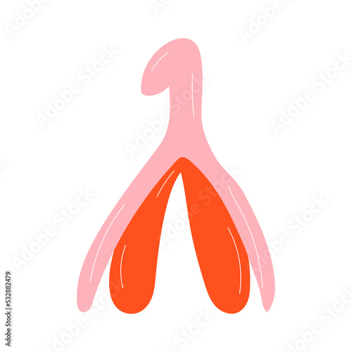 Reproductive system of the clitoris. Clitoral glans.Feminism theme and female genital organs. Vector in cartoon style. 