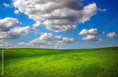 Green field and blue cloudy sky. Composition of nature.