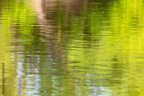 The green expanse of water on the reservoir as an abstract background.
