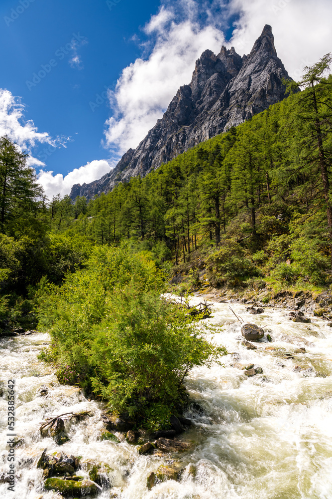 Vertical image with copy space for text, mountain river. A scenic view of a Daocheng Yading landscape on the background of mountains covered with snow