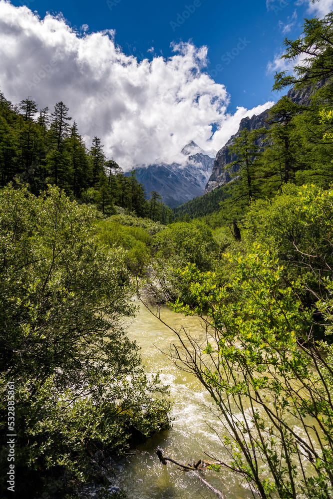 Landscape in Yading national reserve, Daocheng county, Sichuan province, China. Vertical image, copy space for text Landscape in Yading national reserve, Daocheng county, Sichuan province, China. Vertical image, copy space for text