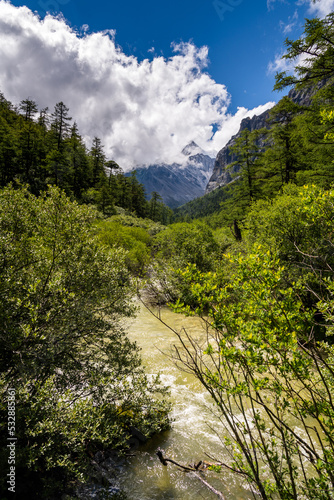 Landscape in Yading national reserve, Daocheng county, Sichuan province, China. Vertical image, copy space for text