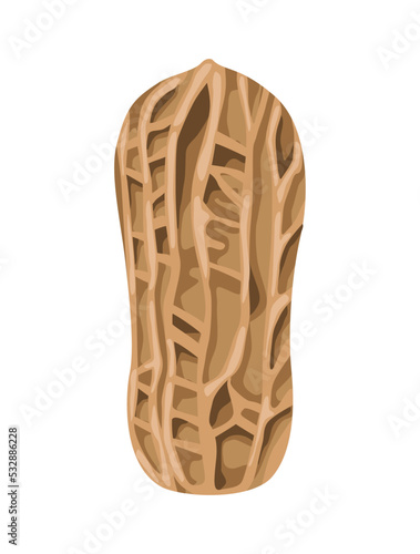 Wallpaper Mural peanut with peel Torontodigital.ca