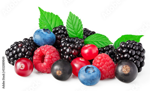mix of blueberry, blackberry, cranberry, raspberry with leaves isolated on white background. clipping path