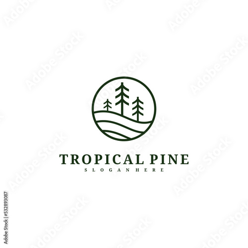 Pine Tree logo design vector template, Tropical forest logo concepts illustration.