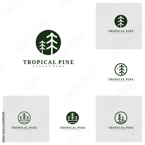 Set of Pine Tree logo design vector template, Tropical forest logo concepts illustration.