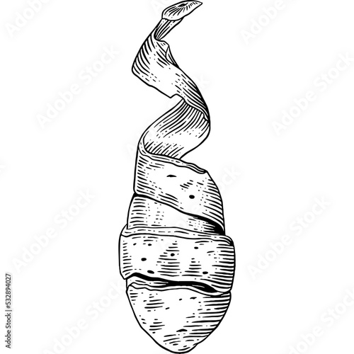 Hand drawn Peeled Potato Sketch Illustration