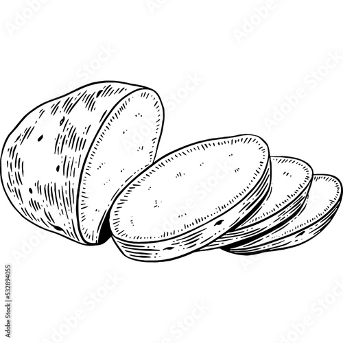 Hand drawn Potatoes Sketch Illustration