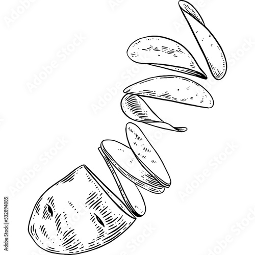 Hand drawn Potato Crisps Sketch Illustration