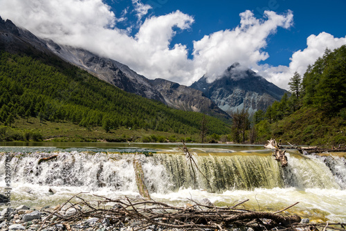 Beautiful waterfall from the melting of snow mountains in autumn yellow pine forest  Waterfall with autunm leaves in Yading Nature Reserve  Sichuan  China