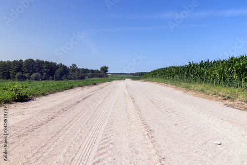 Dirt road in the field