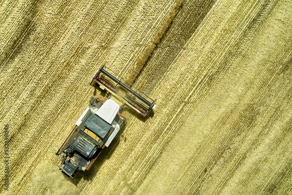 a combine harvester harvesting a field of wheat rural landscape a combine harvester harvesting a field of wheat rural landscape