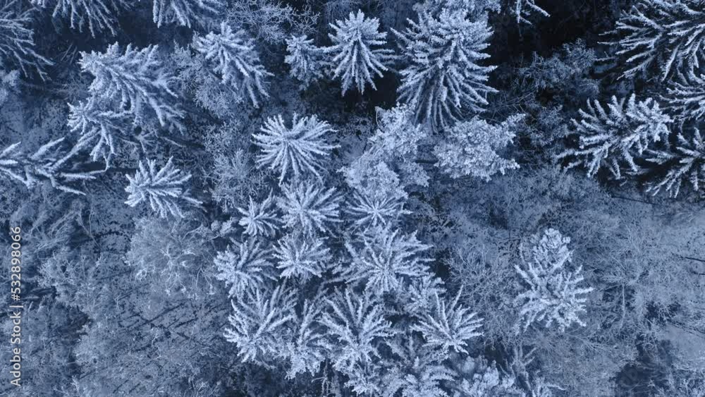 Blizzard in winter. Snowy winter forest. Aerial view of wildlife Blizzard in winter. Snowy winter forest. Aerial view of wildlife