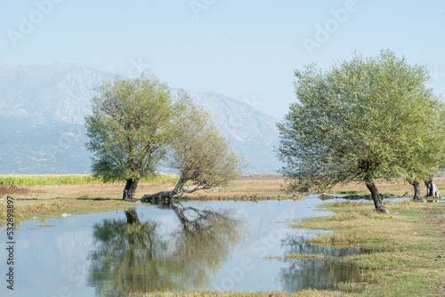 Landscape with trees and river. Reflection of trees on the river foreground and big mountains on the background