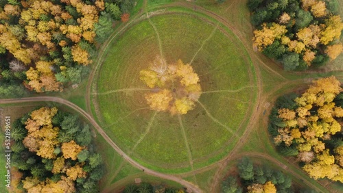 State museum Pavlovsk in autumn. Composition Circle of white birches. Aerial view. photo