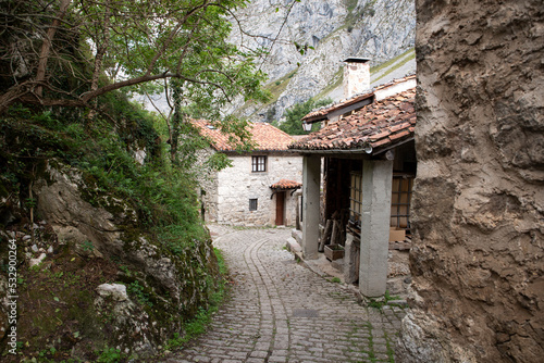 stone path in mountain village © pintoreduardo