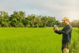 Asia male Farmer analyzing rice field While Using Digital Tablet in smart Farm,  agriculture technology concept