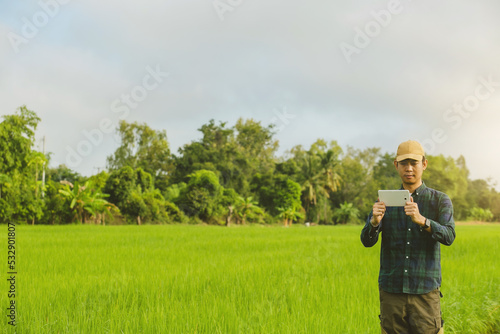 Asia male Farmer analyzing rice field While Using Digital Tablet in smart Farm, agriculture technology concept