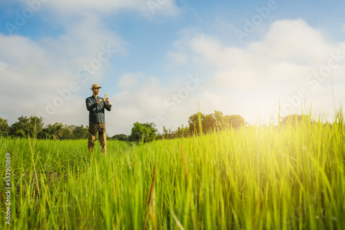 Asia male Farmer analyzing rice field While Using Digital Tablet in smart Farm,  agriculture technology concept