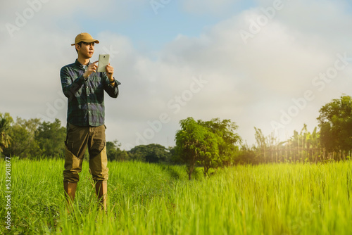 Asia male Farmer analyzing rice field While Using Digital Tablet in smart Farm, agriculture technology concept