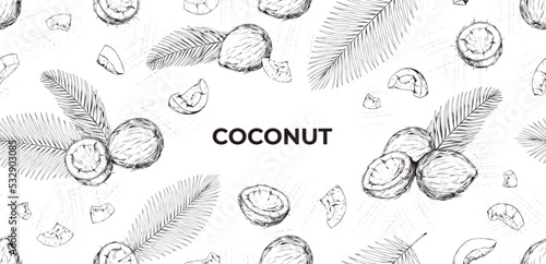 Coconut pattern, coco hand drawn sketch. Art flower drawing, line nuts, frame with tropical palm leaves. Exotic nuts. Horizontal banner template. Vector illustration isolated background © SpicyTruffel