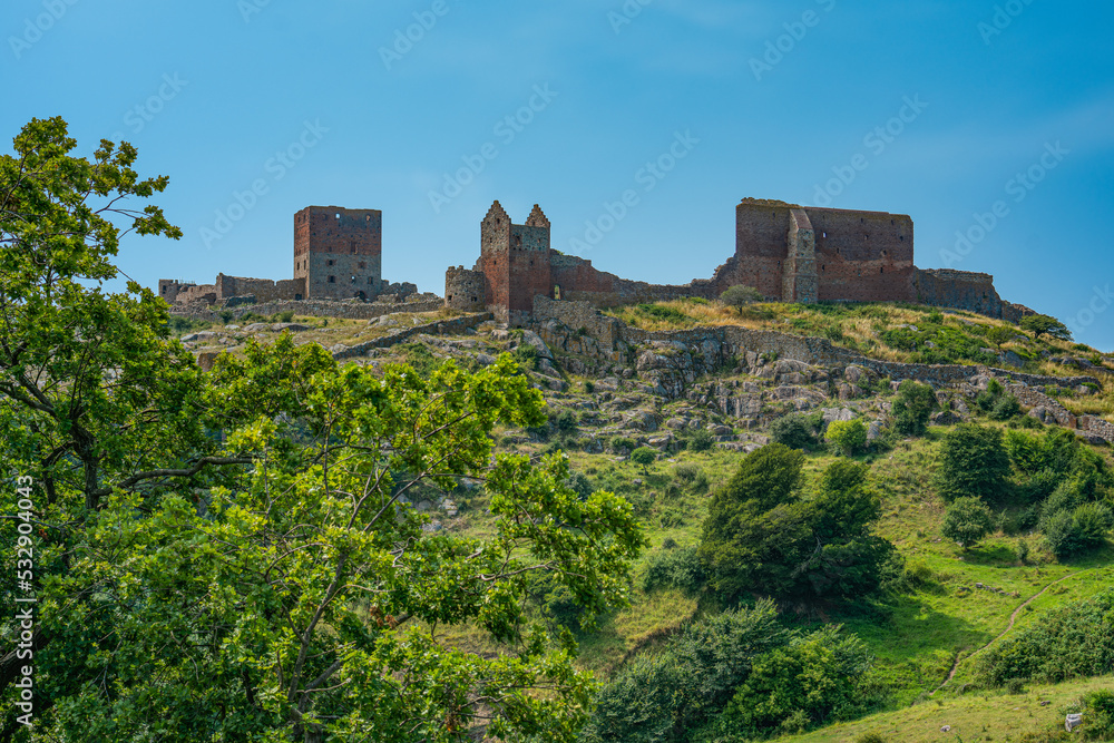 Trees as forground of the Fortress Hammershus