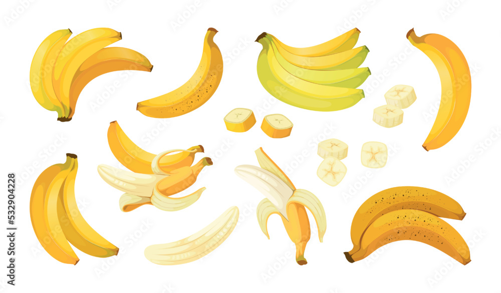 Banana bunch, simple fruit food illustration. White background isolated assortment collection, various yellow plants, whole and peel. Simple tropical vegetarian snack. Vector cartoon flat set Banana bunch, simple fruit food illustration. White background isolated assortment collection, various yellow plants, whole and peel. Simple tropical vegetarian snack. Vector cartoon flat set