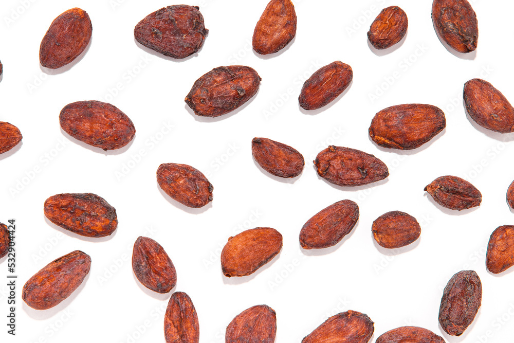 cocoa seed or cacao beans isolated on white background. cocoa seed or cacao beans isolated on white background.