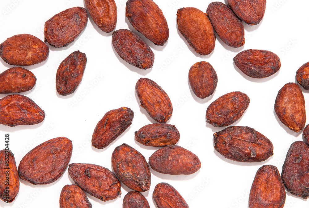 cocoa seed or cacao beans isolated on white background. cocoa seed or cacao beans isolated on white background.