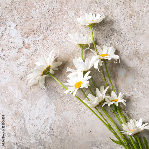 bouquet of daisies on a light background