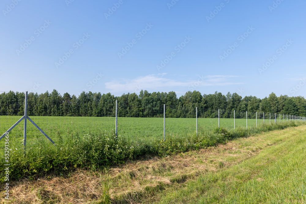 Metal fences for animal protection