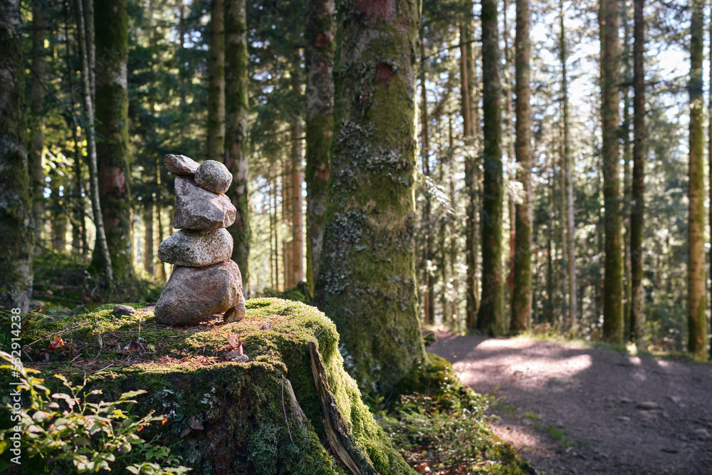 Fototapeta premium Cairn en forêt