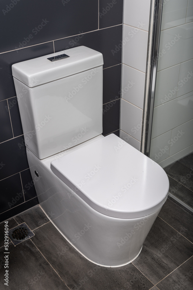 Modern flush toilet in a clean bathroom. Modern flush toilet in a clean bathroom.