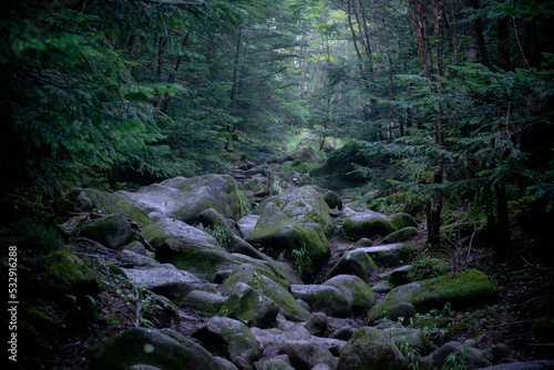 蓼科山登山口コース 八ヶ岳の風景