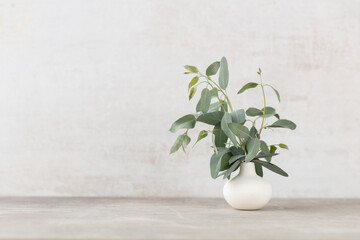 Green eucalyptus leaves in vase. Front view. Place for text, copy space, mockup.