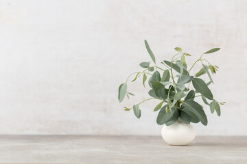 Green eucalyptus leaves in vase. Front view. Place for text, copy space, mockup.