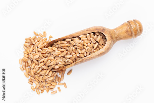 Scoop with wheat grains and spikelets on white background.