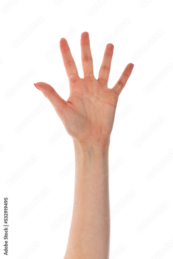 Female hand showing five fingers isolated on transparent background Female hand showing five fingers isolated on transparent background