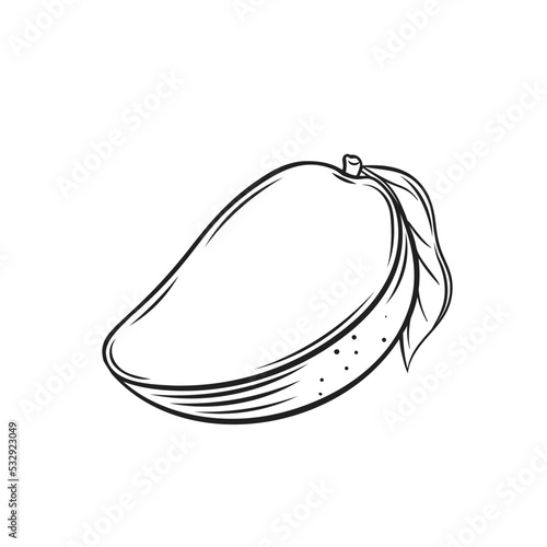 Half mango outline icon vector illustration. Hand drawing line sweet tropical fruit cut in halves in peel and with leaf on stem for making juice, smoothies or eating, fresh juicy mango vegan dessert