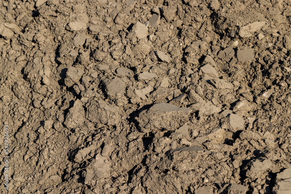 preparation of soil in the field for sowing