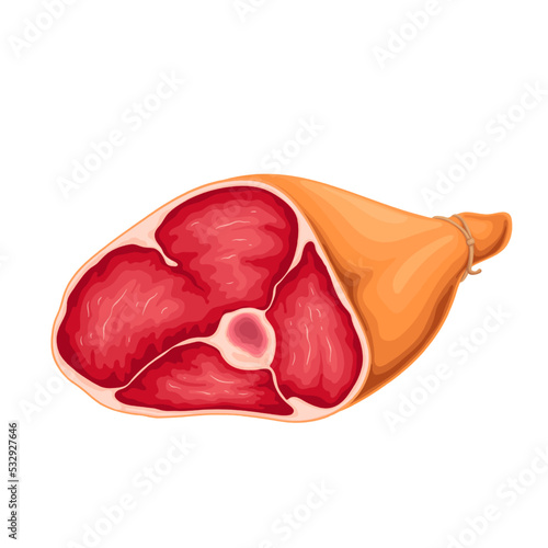 Raw whole leg, meat product vector illustration. Cartoon isolated pork, beef or lamb part of animal for protein food preparation, meat ingredient of butchers shop menu, restaurant or farm market