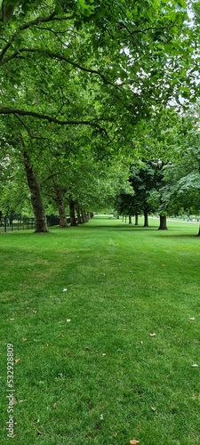 path in the Windsor Park