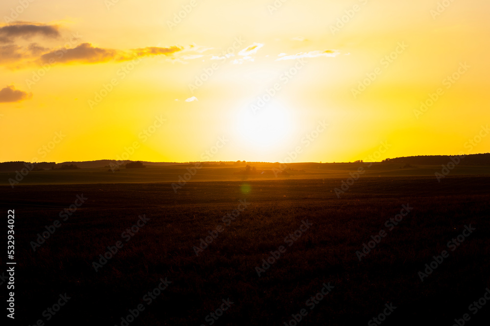 A field at sunset with flying insects