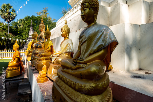 Buddha Relics and statue at Wat Phra That Bung Puan, Nong Khai province, Esan regions of Thailand photo