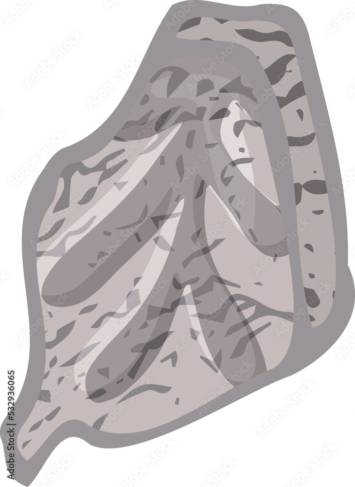 Set of stones seashells and plants Hand drawn ocean shell or conch mollusk scallop Sea underwater animal fossil Nautical and aquarium, marine theme. Vector illustration Set of stones seashells and plants Hand drawn ocean shell or conch mollusk scallop Sea underwater animal fossil Nautical and aquarium, marine theme. Vector illustration