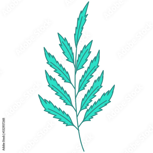 leaf botanical floral