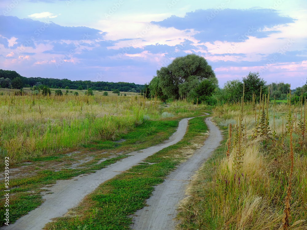Dirt road in the field in the evening. Nature of the countryside in Ukraine