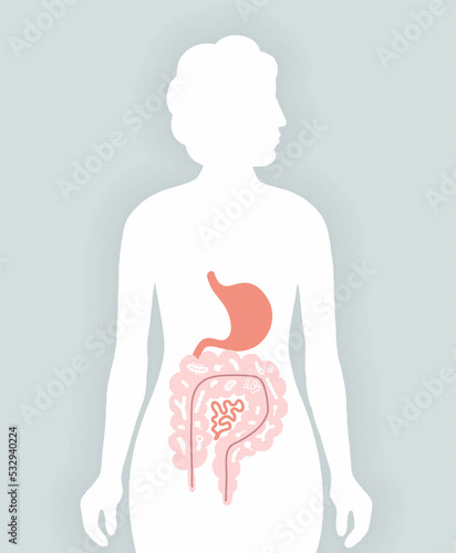 Human microbiome illustration with intestines and bacteria Vector picture. Gastroenterologist. Bifidobacteria, lactobacilli. Lactic acid bacteria.