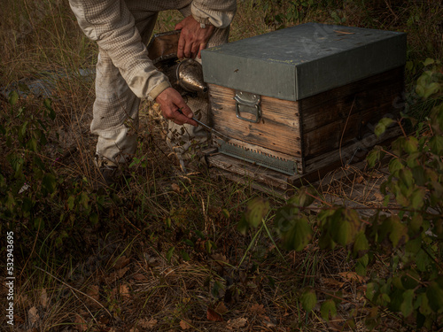 beekeeper smoking bees to open the hive