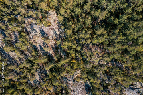 Top down aerial view of rocky area sparsely overgrown with pines and birches, Karelia, Russia © Igor
